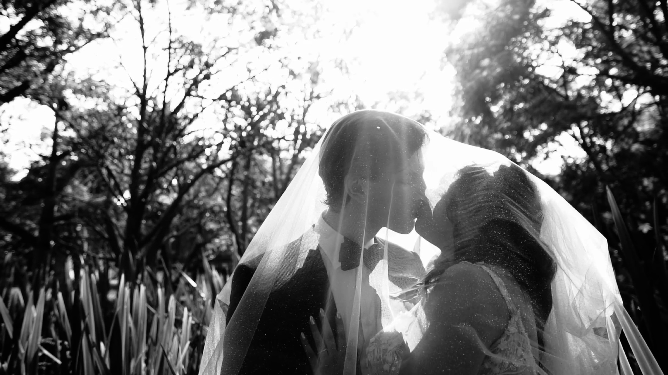 Beso de los novios bajo el velo a contraluz en blanco y negro, fotografía de bodas en México.